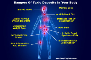 dangers of toxic